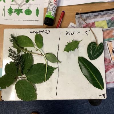 Science - Classification