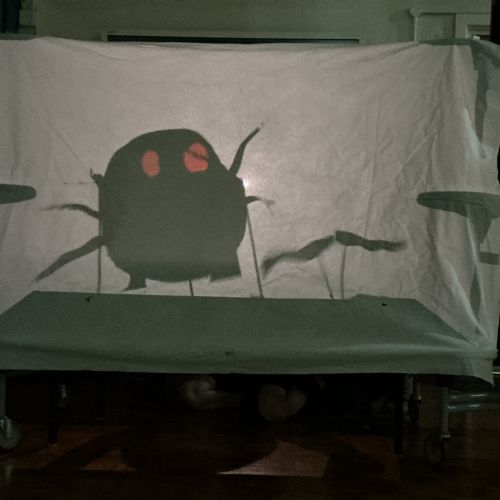 Shadow puppets